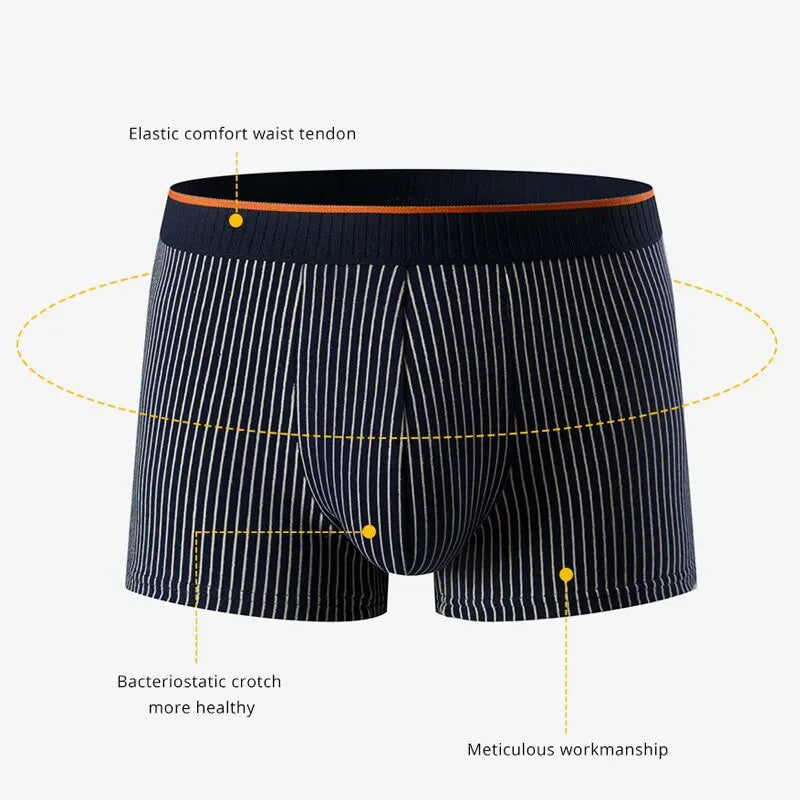 Noah Form-Fitting Striped Boxer Briefs | Ribbed Contrasting Waistband Boxer Briefs